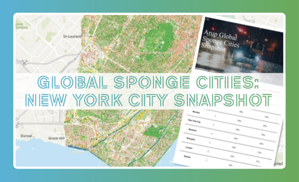 GLOBAL SPONGE CITIES: NYC SNAPSHOT | MAY 28